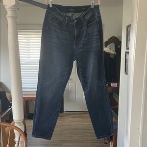 Judy Blue Women's Dark Blue Slim Jeans. Never wore.